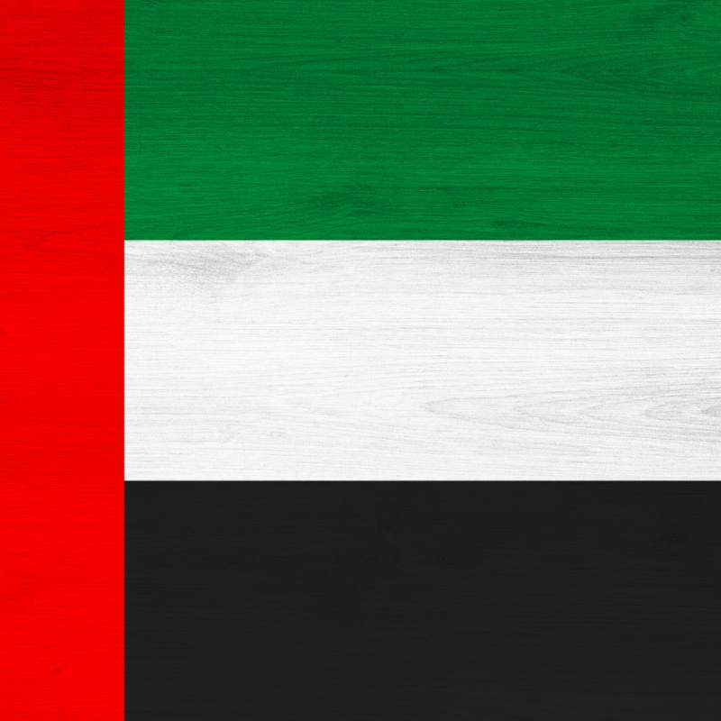 Arabische vlag, kleuren: rood, groen, wit en zwart